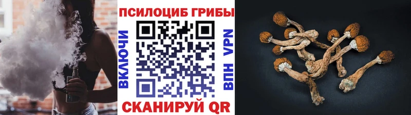 Галлюциногенные грибы GOLDEN TEACHER  продажа наркотиков  Семикаракорск 